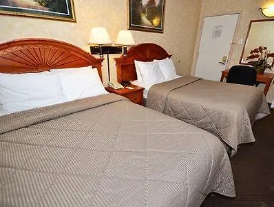 Comfort Inn Chelsea New York Hotel