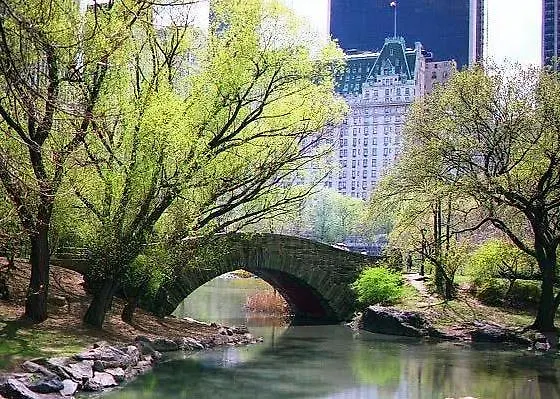 Hotel Comfort Inn Chelsea New York