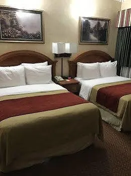 Hotel Comfort Inn Chelsea New York